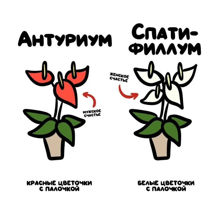 Знай разницу  — прикольные картинки, сравнения и различия | #147