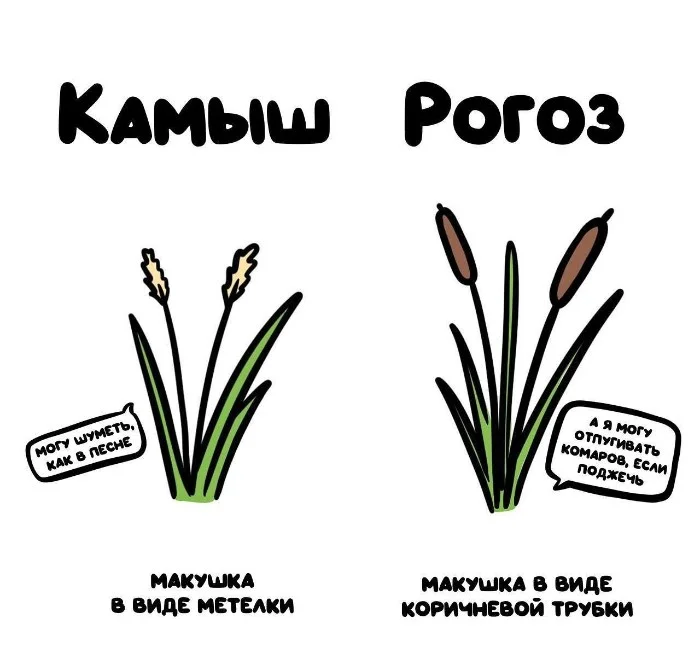 Знай разницу  — прикольные картинки, сравнения и различия | #154
