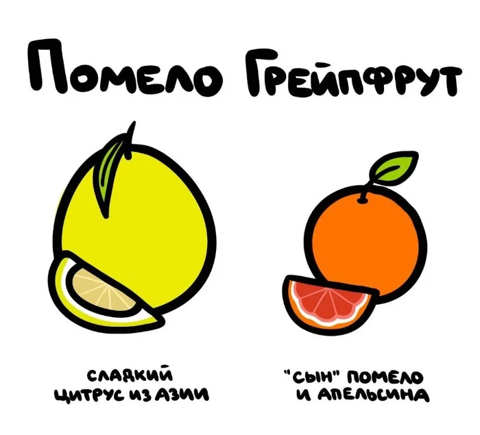 Знай разницу  — прикольные картинки, сравнения и различия | #159