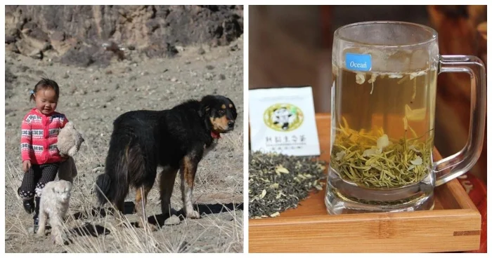 10 неожиданных фактов из разных сфер, помогающих лучше понять мир