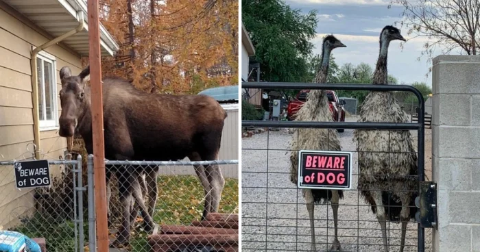 16 смешных ситуаций, когда таблички обещали одно, а происходило совсем другое