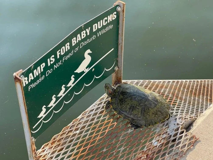 16 смешных ситуаций, когда таблички обещали одно, а происходило совсем другое