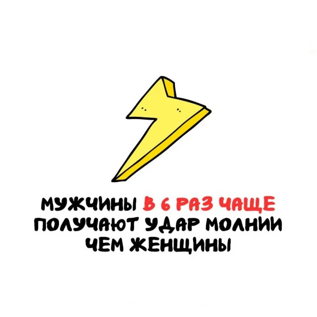 Удивительные факты на все случаи жизни: от забавных до поразительных