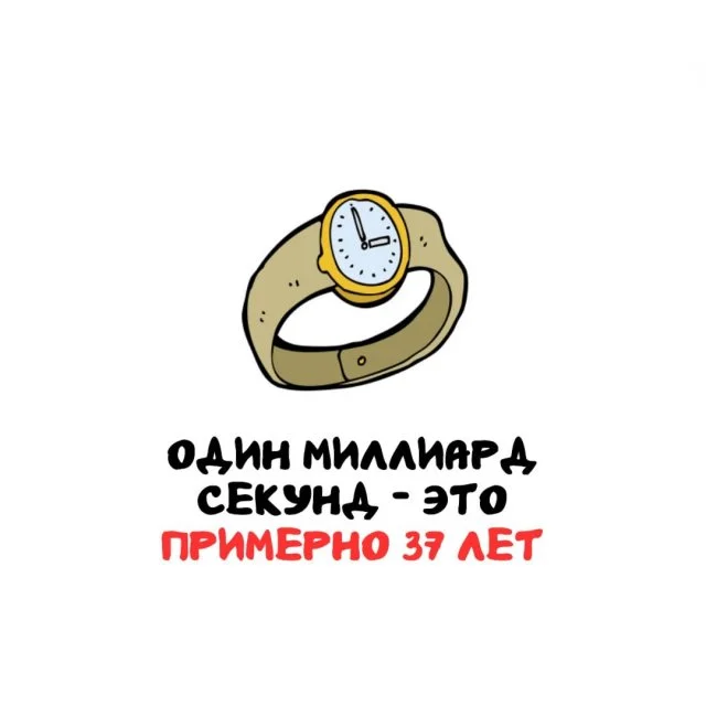 Удивительные факты на все случаи жизни: от забавных до поразительных