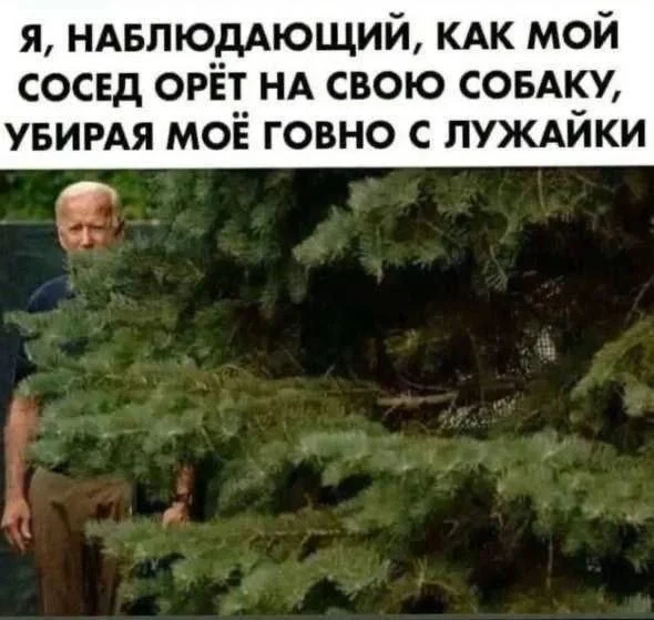 Вот и деграднули с мемами