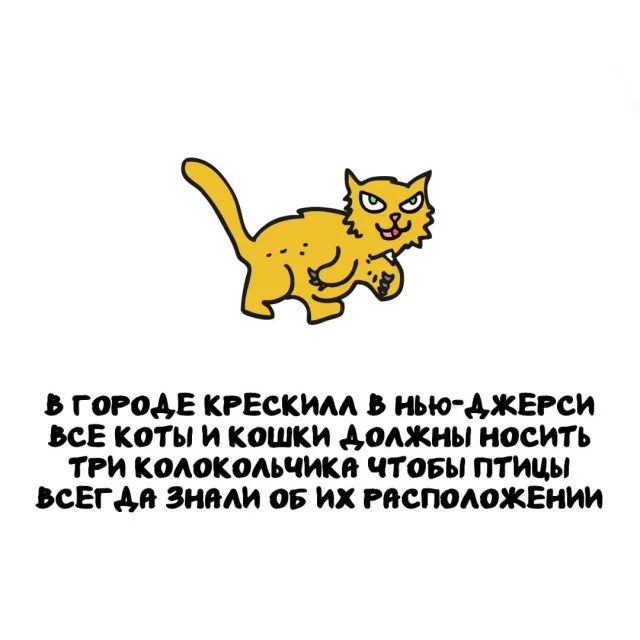 Любопытные факты, которые пригодятся каждому