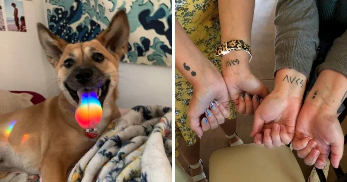 20 случаев, когда люди оказались свидетелями уникальных событий, которые происходят крайне редко