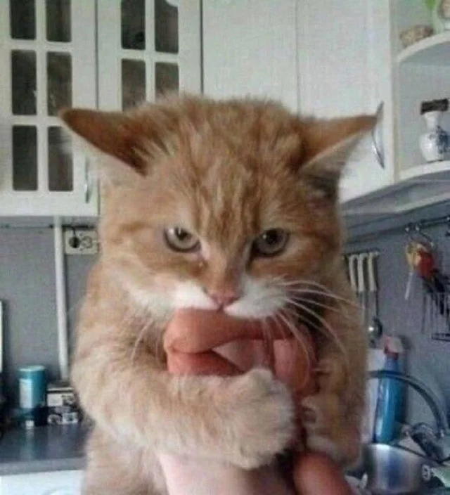 Мемы для настроения