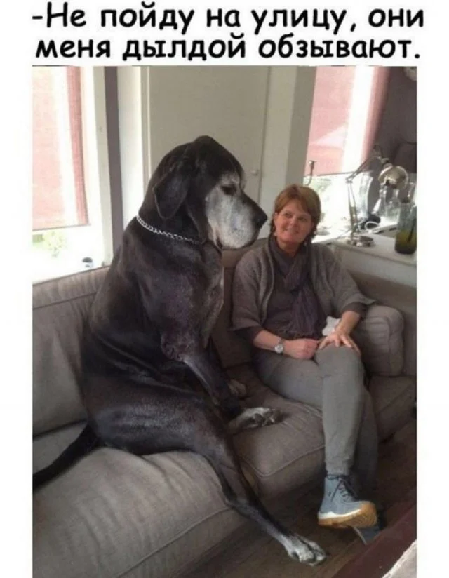 Мемы для настроения