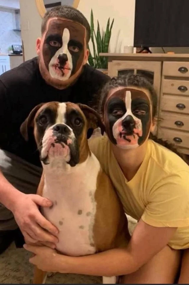 Мемы хорошего настроения