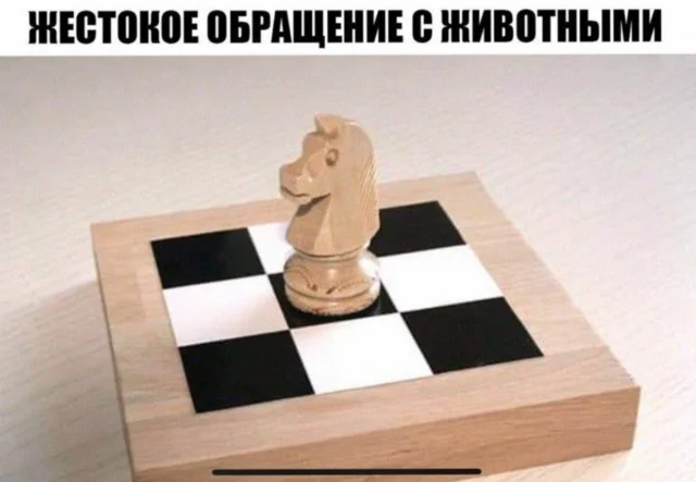 Мемы с надписями