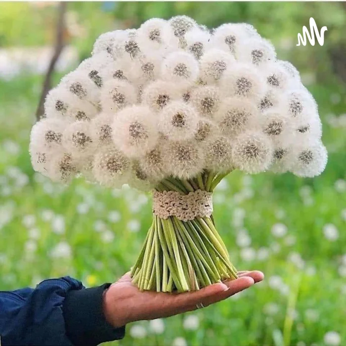 27 фотографий, дарящих чувство гармонии и спокойствия