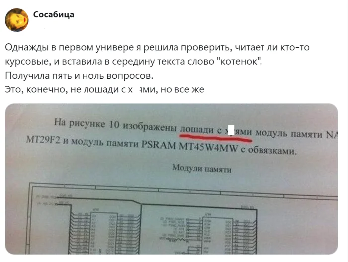Пасхалки в студенческих работах: как авторы шутят в тексте, уверенные, что никто не дочитает