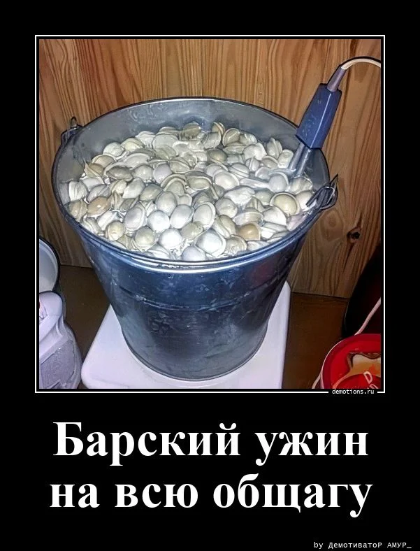 Жизненные демотиваторы