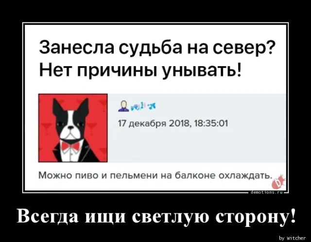 Демотиваторы дня