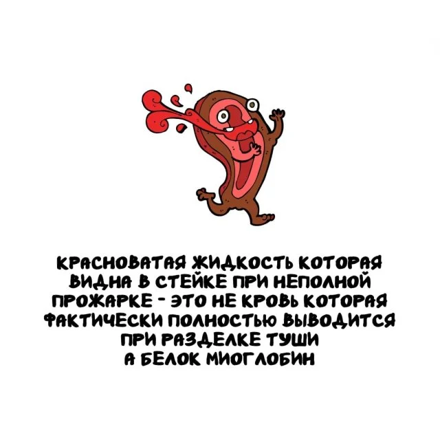 Подборка интересных фактов на все случаи жизни