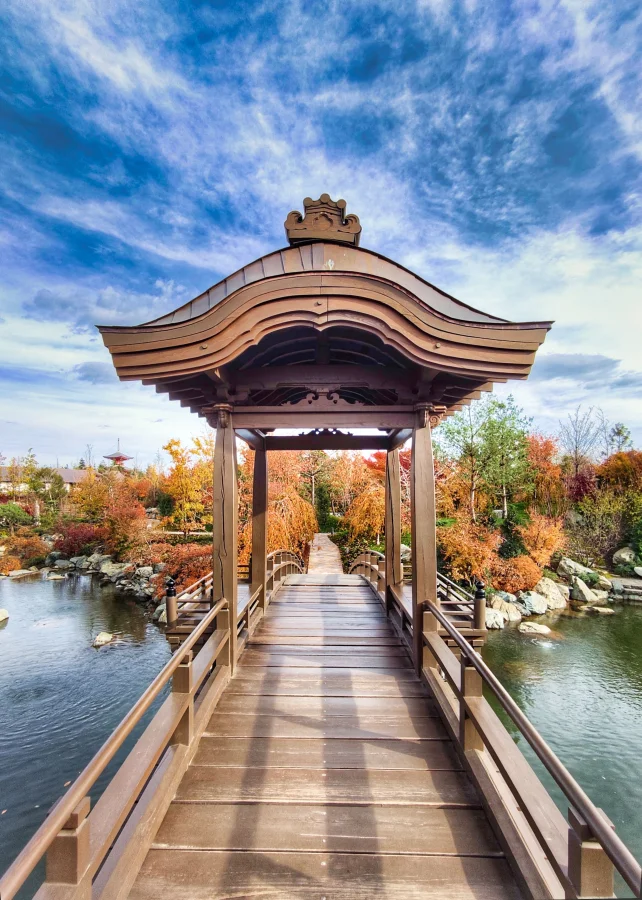 Японский сад парка Краснодар