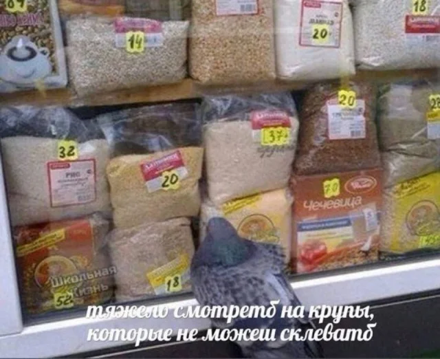 Юмор с деградацией