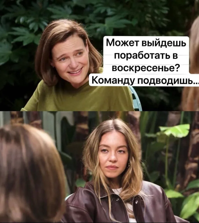 Как один взгляд Сидни Суини превратился в мем и заставил хейтеров замолчать