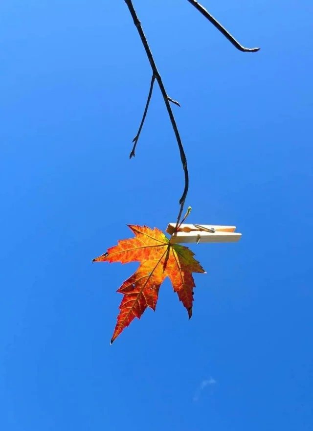 Классное настроение в мемах