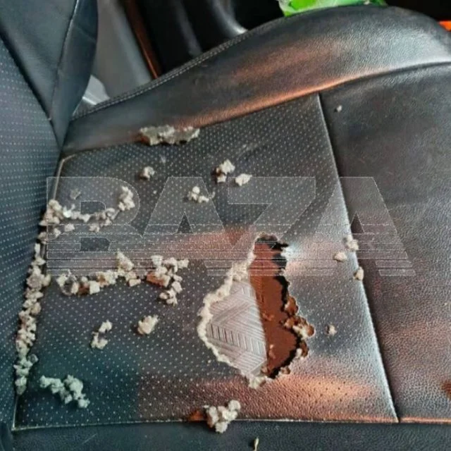 Крысы атаковали автомобили россиян после первых же морозов