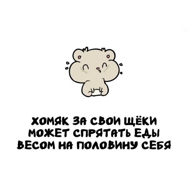 Любопытные факты, которые пригодятся каждому