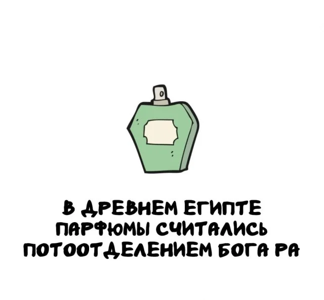 Любопытные факты, которые пригодятся в любой ситуации