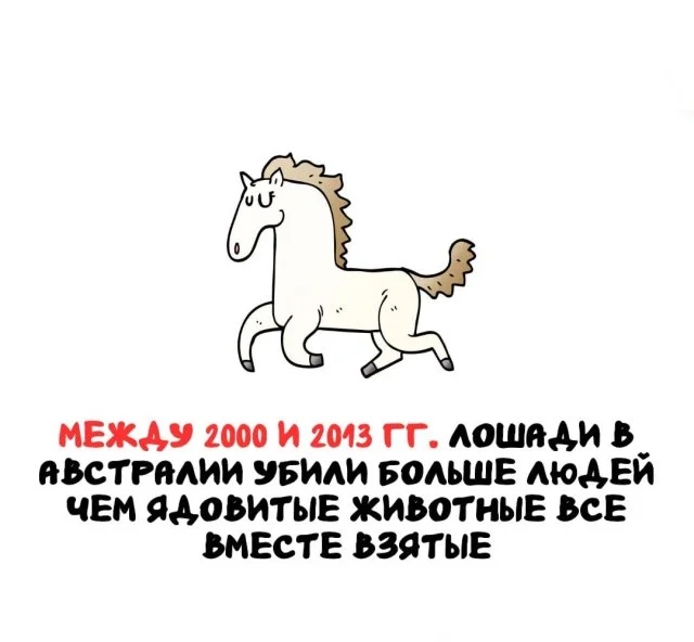 Любопытные факты, которые пригодятся в любой ситуации