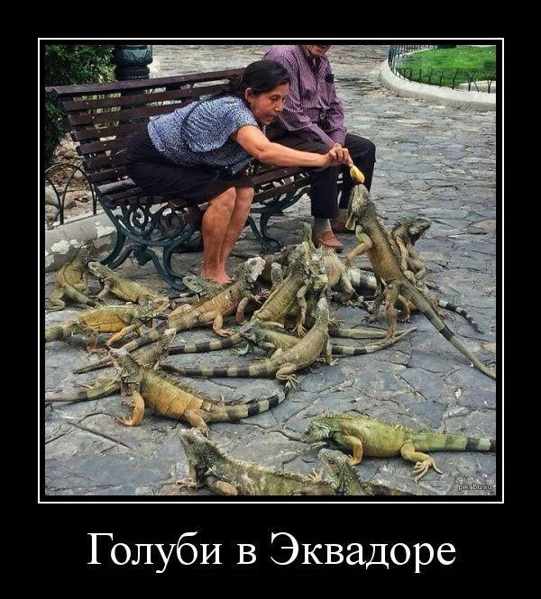 Мемы нестандартного юмора