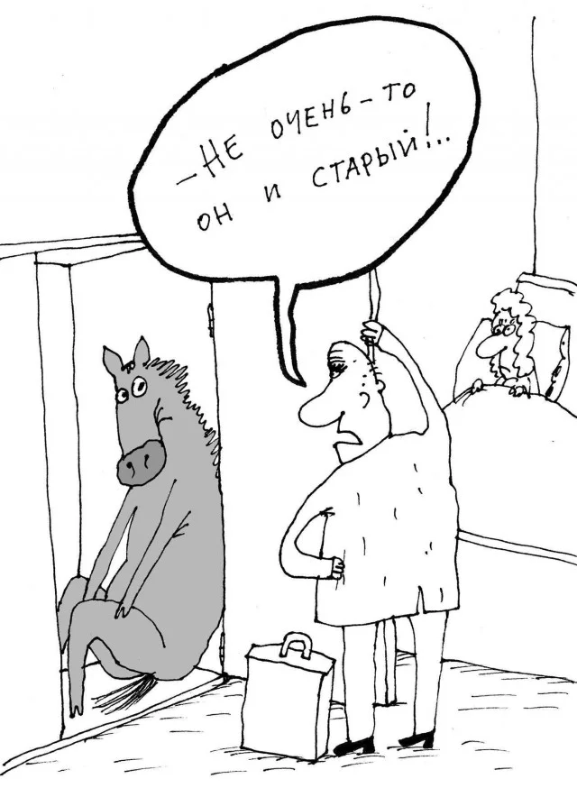 Мемы заказывали?