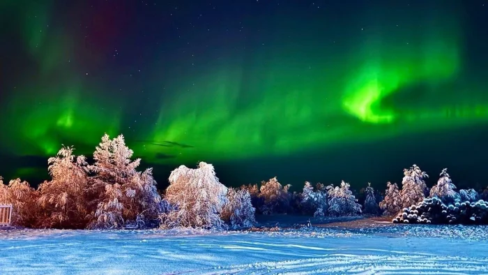 🌌 Ненецкий автономный округ: край бескрайней тундры и новых возможностей