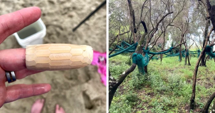 Странные предметы и объяснения из комментариев: что обнаружили люди