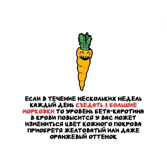 Подборка любопытных фактов на любой случай