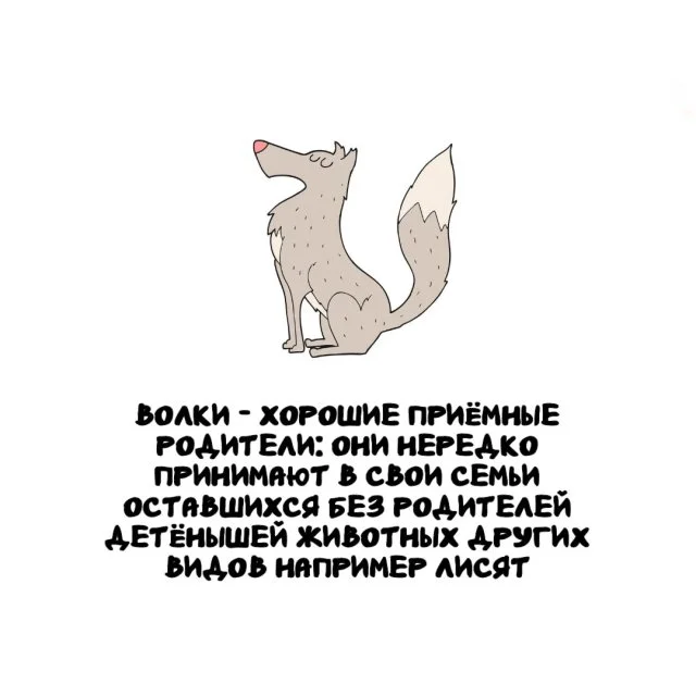 Подборка любопытных фактов на любой случай