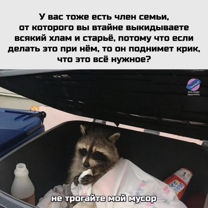 Юмор про мам, бабушек и дом: подборка, в которой узнает себя каждый