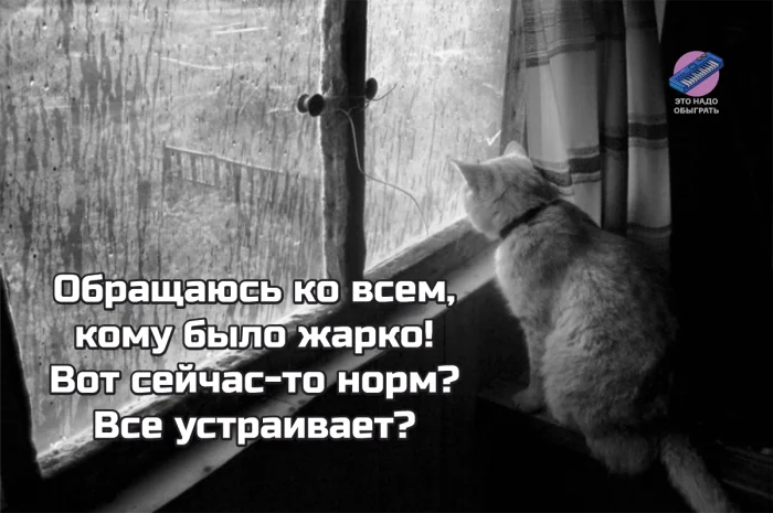 Осенний юмор: подборка шуток