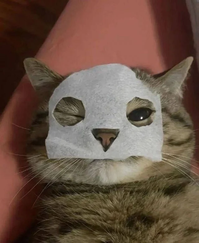 Просто мемы