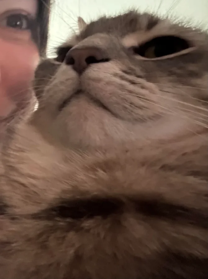 Самые популярные посты Reddit за неделю