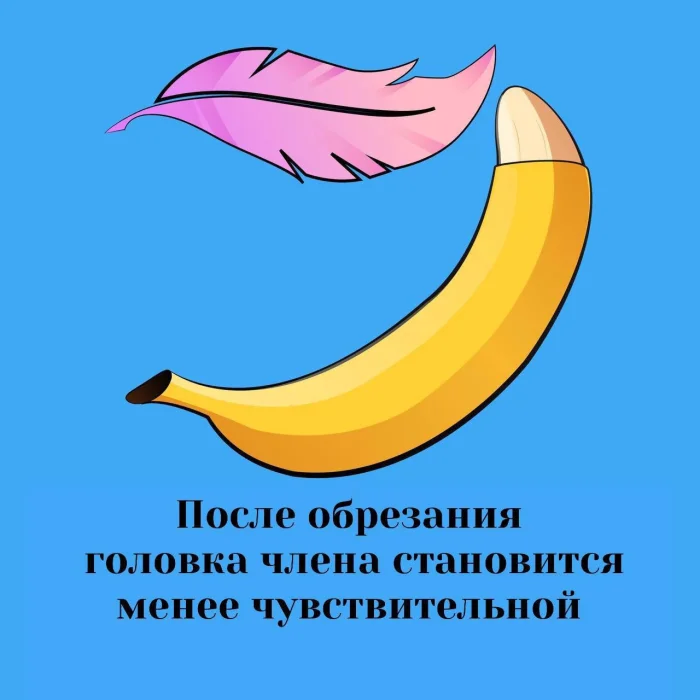 Сексуальная правда: 15 фактов, которым не научат в школе #177
