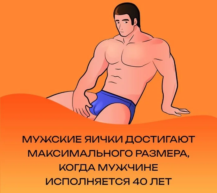 Сексуальная правда: 15 фактов, которым не научат в школе #182