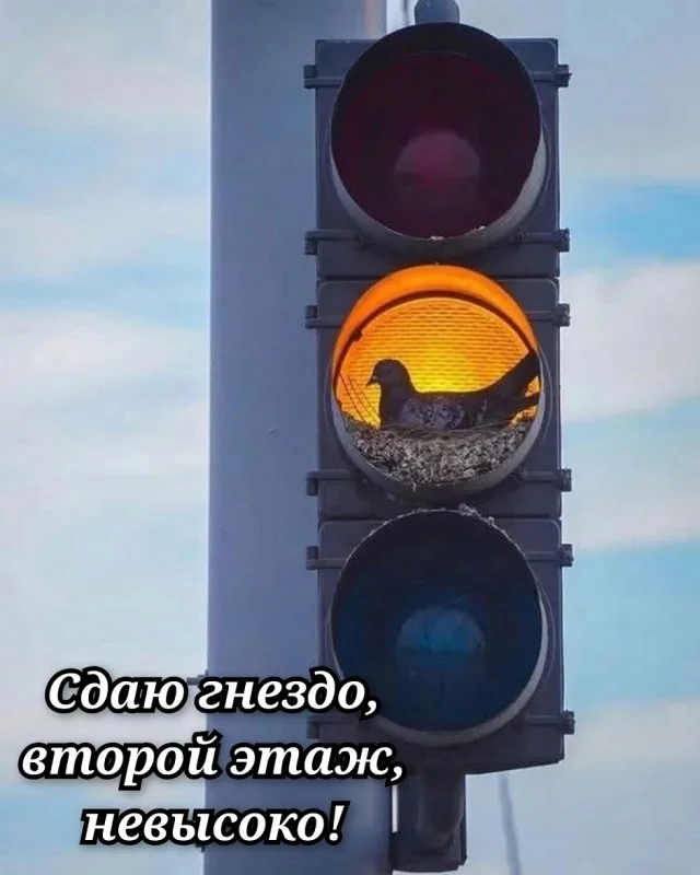 Супер свежие мемы