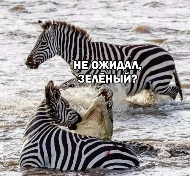 Типичные мемы