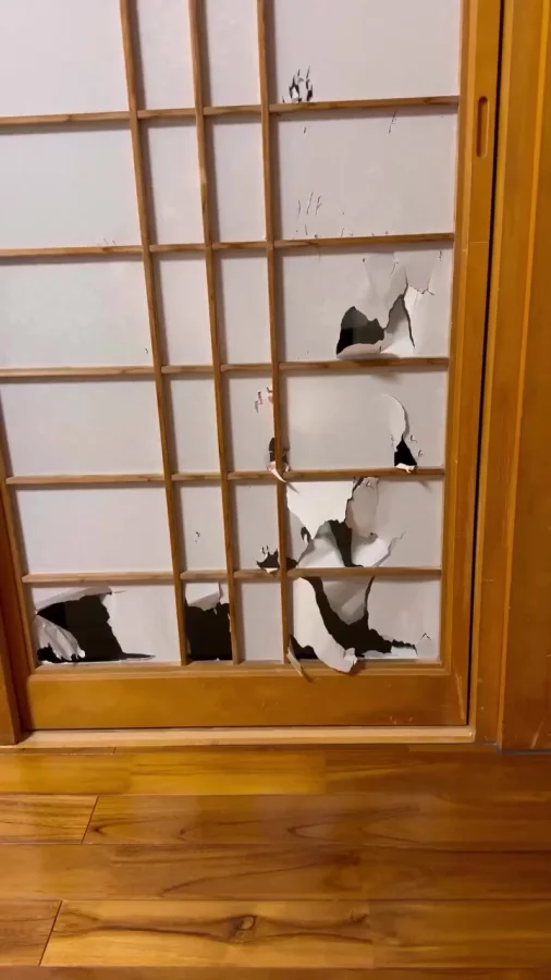 Уникальные трудности, характерные только для Японии