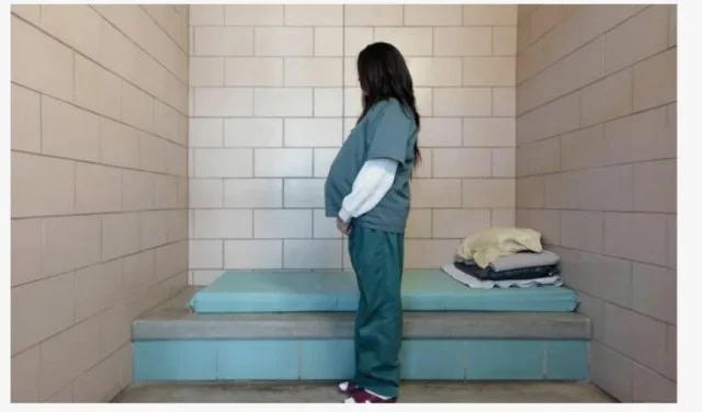 Заключённые в женской колонии внезапно начали беременеть — что произошло?