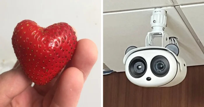 17 интересных фото, где предметы выглядят как что-то другое.