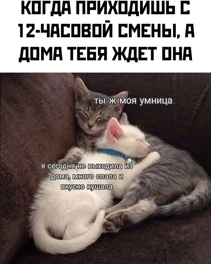 Смейтесь на здоровье: свежая порция мемов и приколов из Сети!