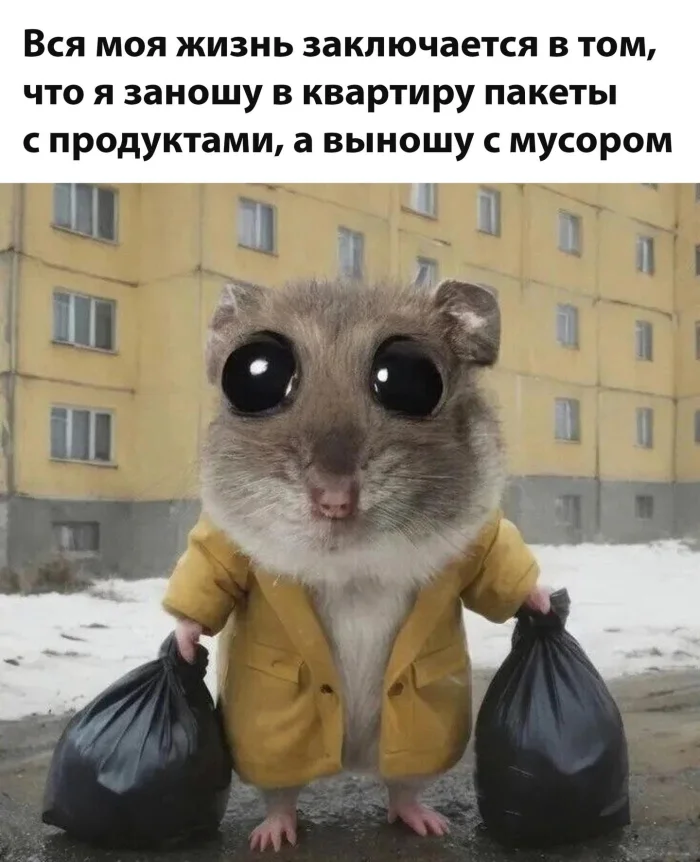 Смейтесь на здоровье: свежая порция мемов и приколов из Сети!