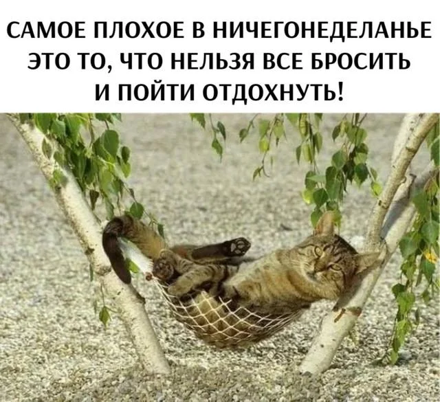 Улыбнись! Свежая порция мемов и приколов из Сети!