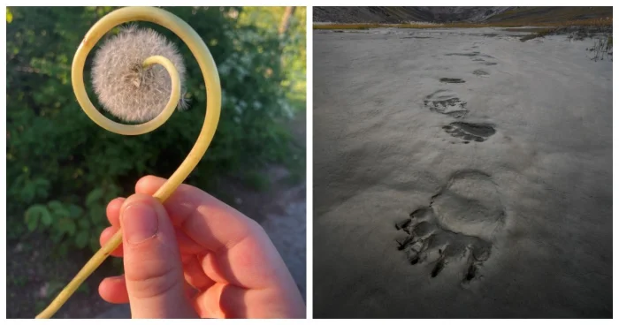 20 удивительных открытий, совершенных благодаря счастливой случайности