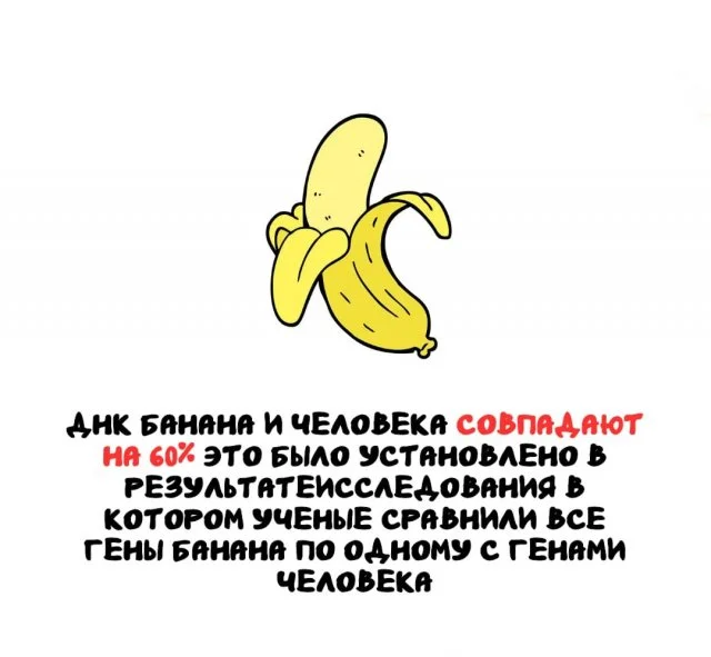 А вы знали? Подборка невероятных фактов!